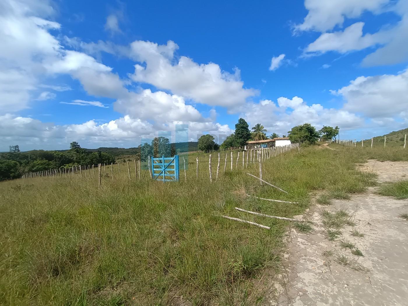 Fazenda, 101 hectares - Foto 9