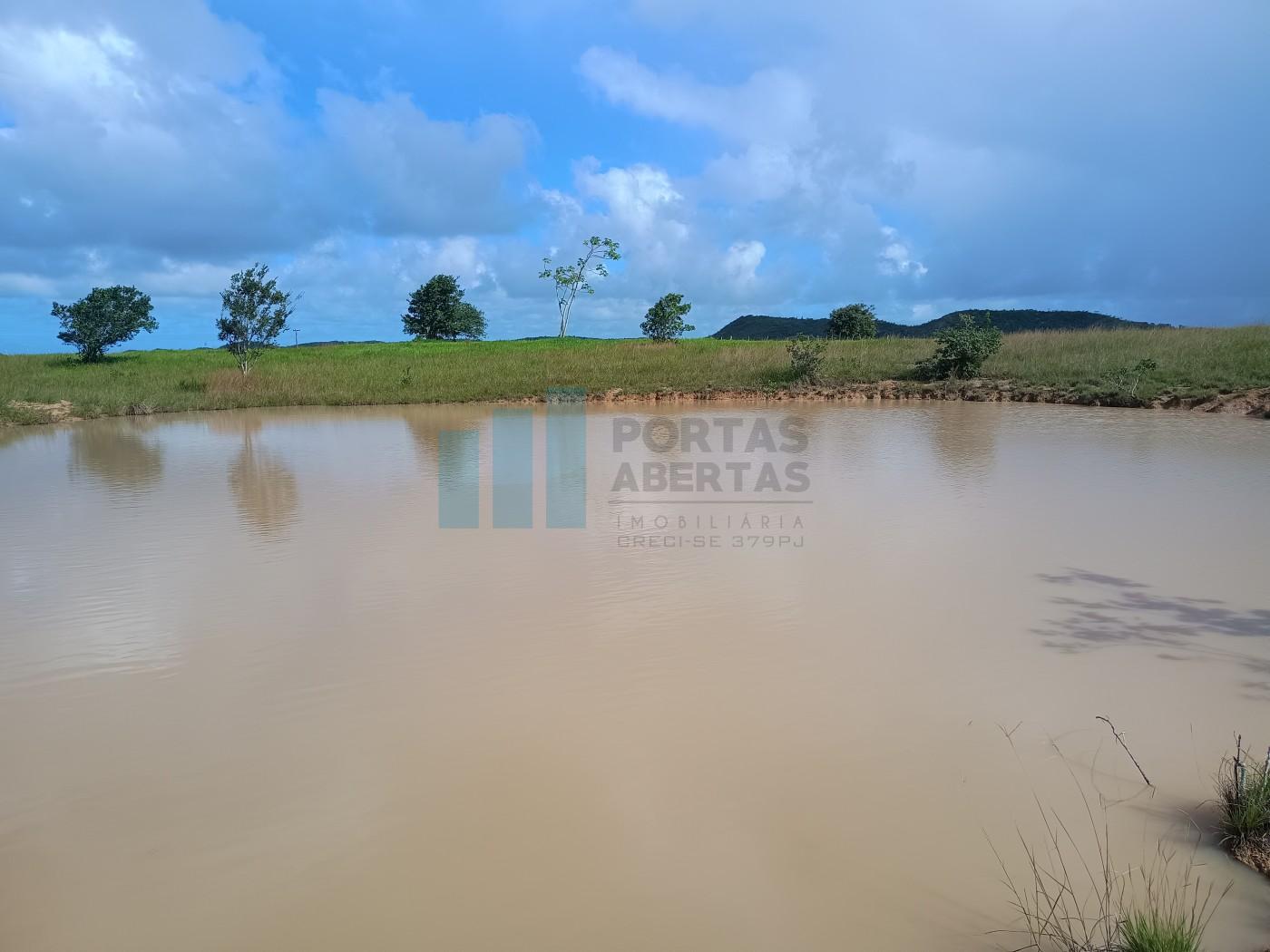 Fazenda, 101 hectares - Foto 12