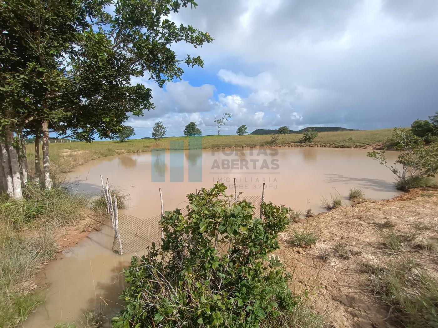 Fazenda, 101 hectares - Foto 11