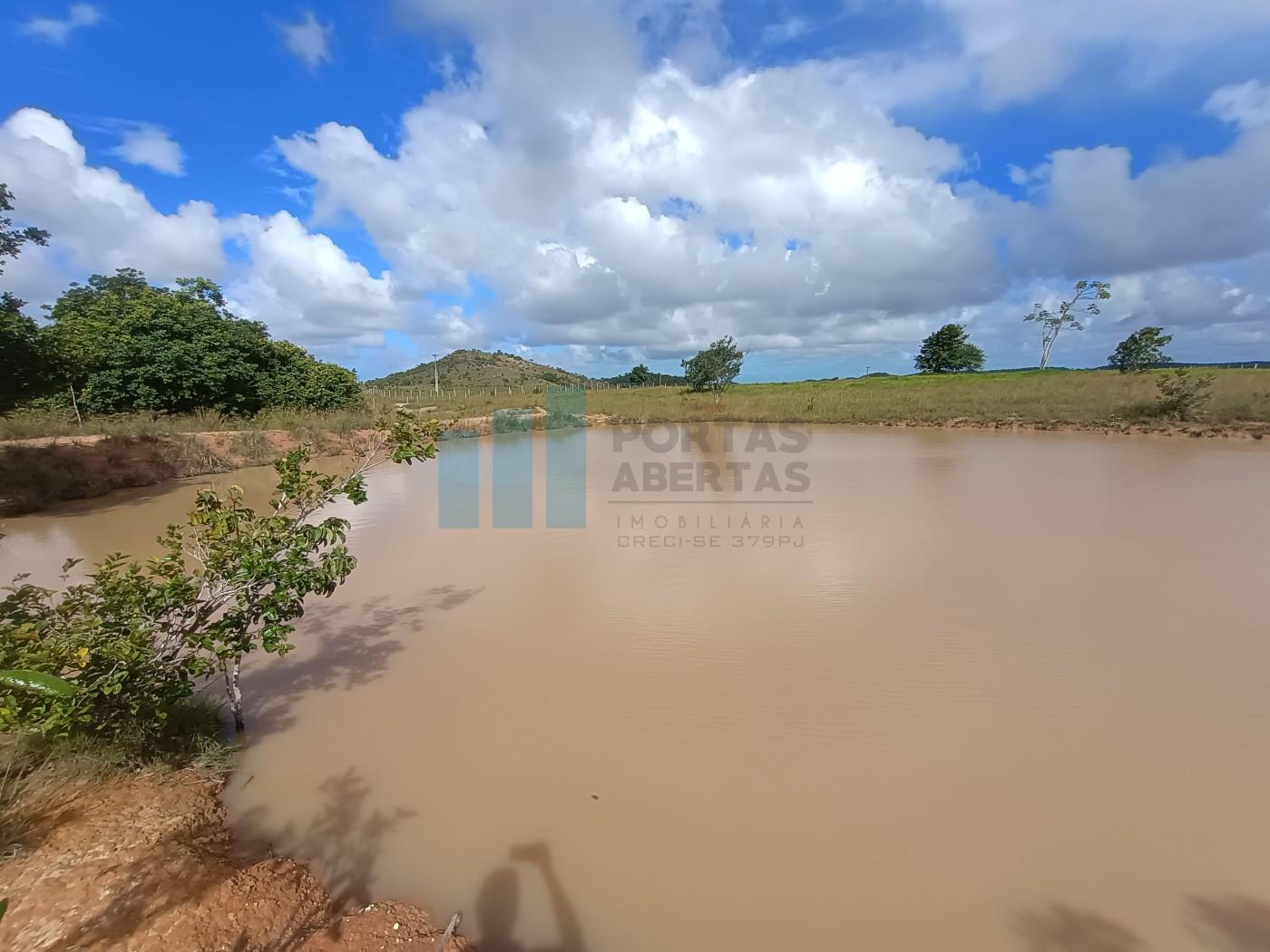 Fazenda, 101 hectares - Foto 14