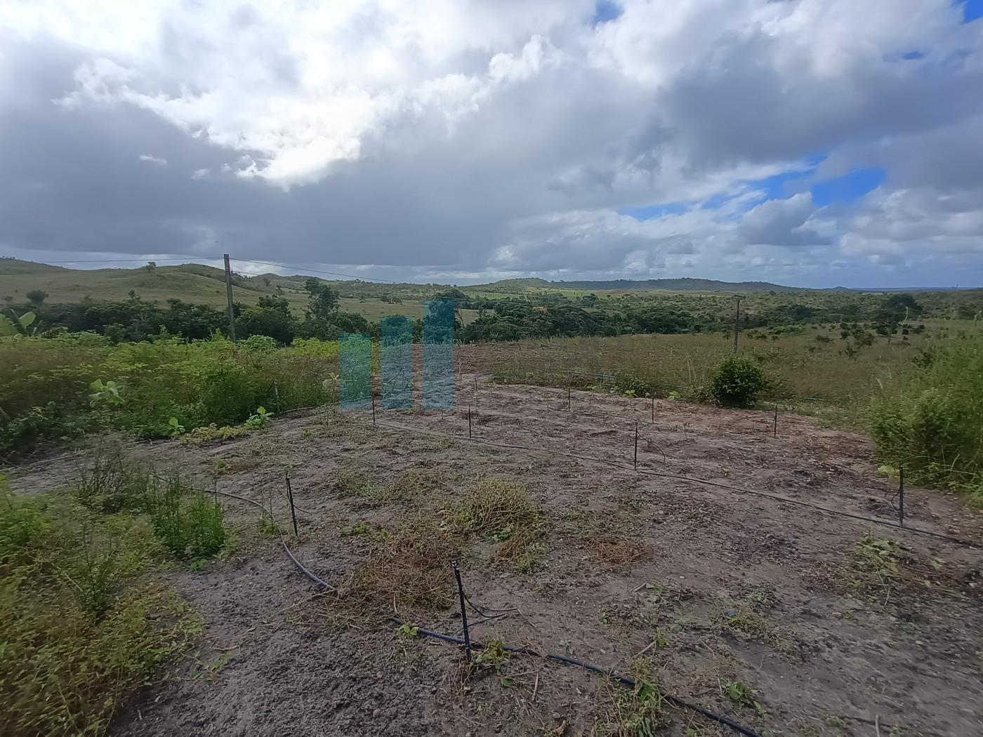 Fazenda, 101 hectares - Foto 10