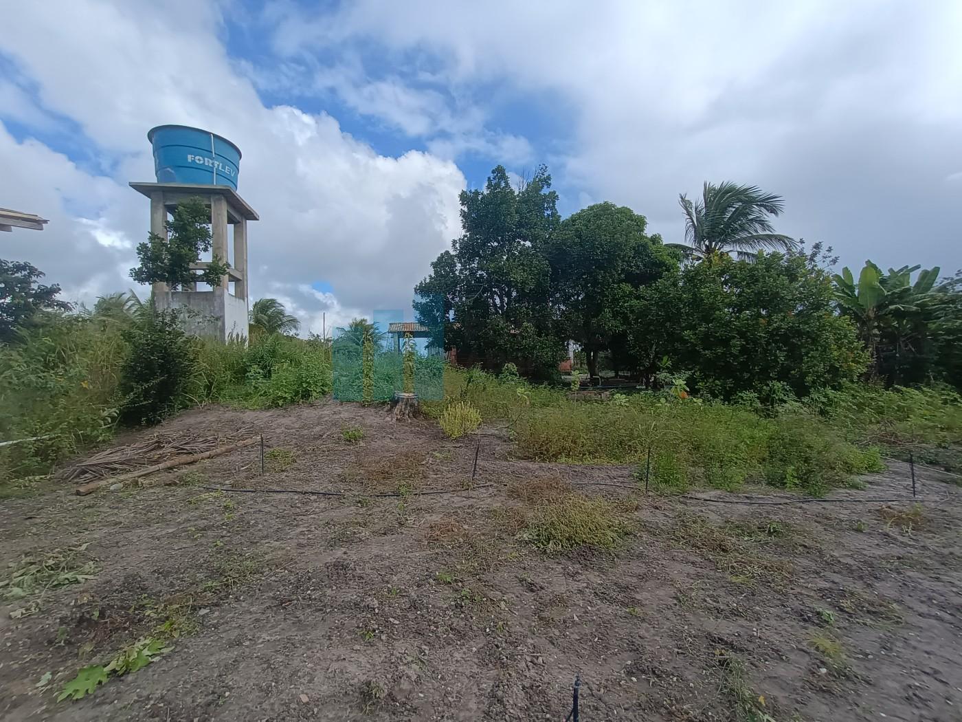 Fazenda, 101 hectares - Foto 21