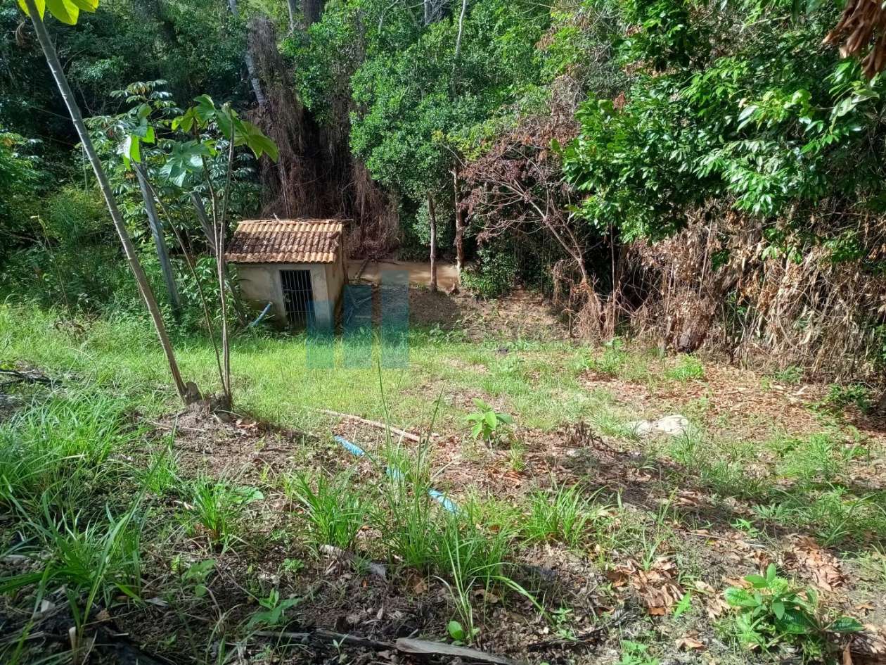 Fazenda, 101 hectares - Foto 31