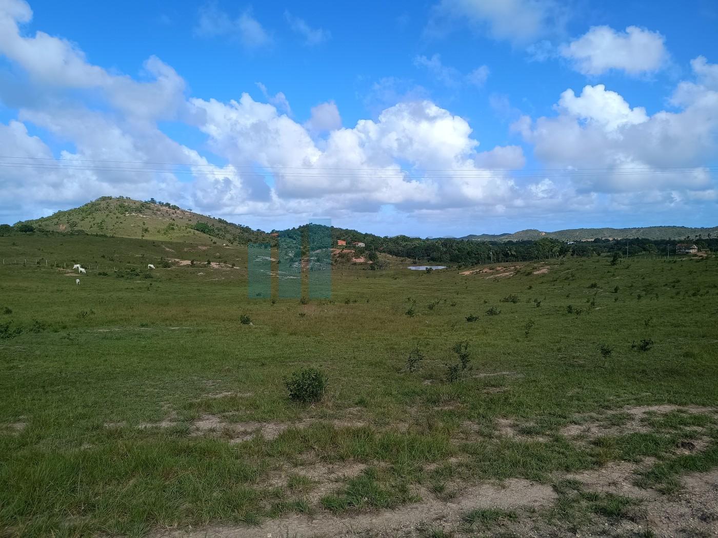 Fazenda, 101 hectares - Foto 8