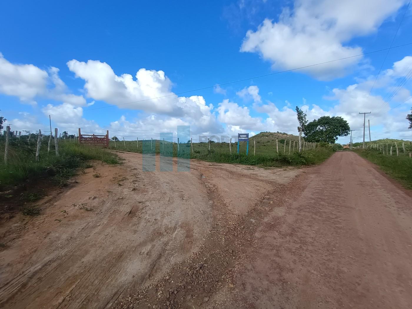 Fazenda, 101 hectares - Foto 5