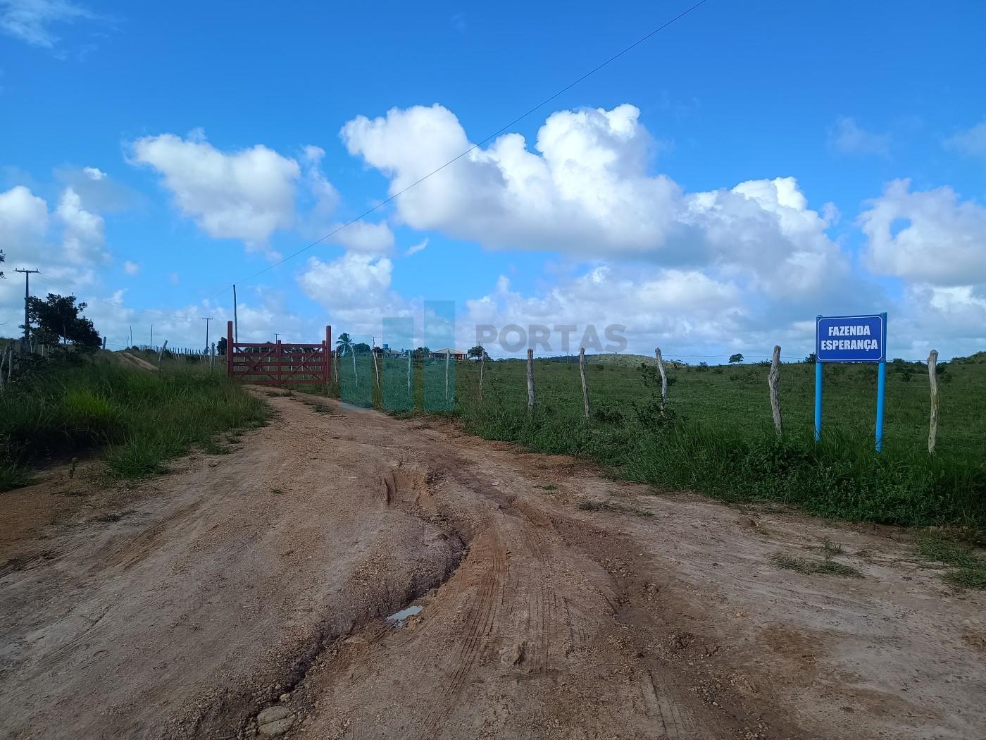 Fazenda, 101 hectares - Foto 6