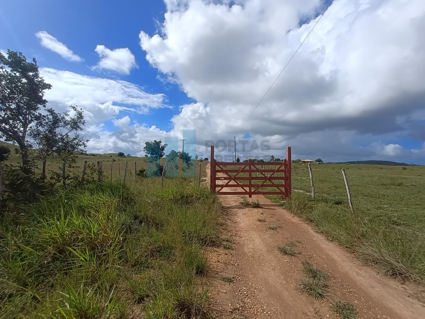 Fazenda, 101 hectares - Foto 7