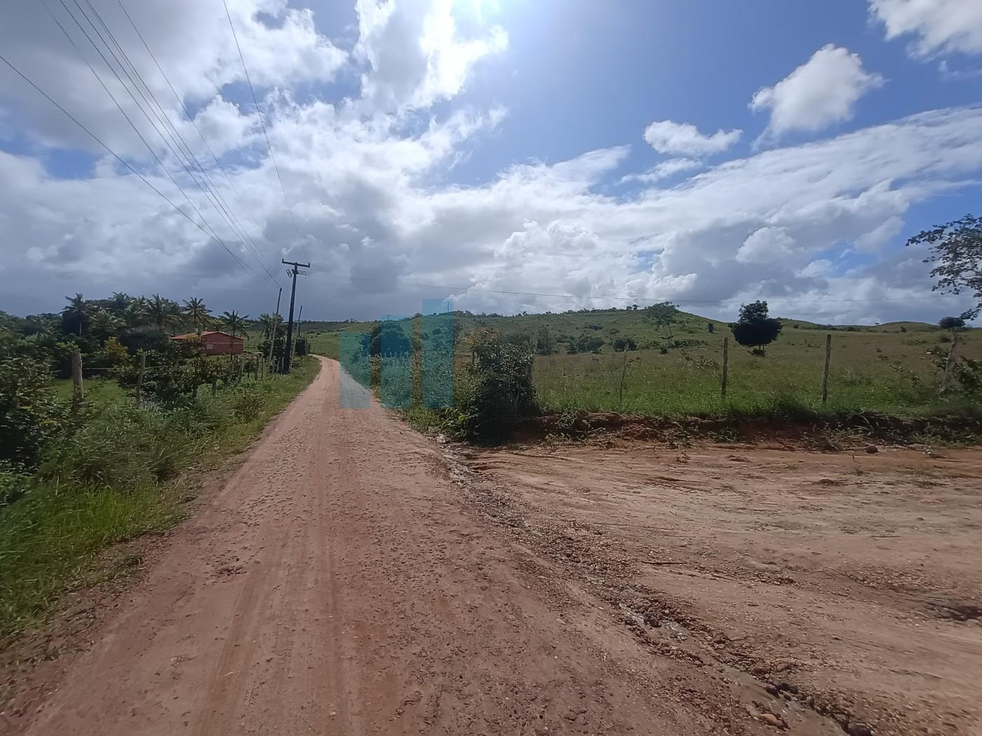 Fazenda, 101 hectares - Foto 4