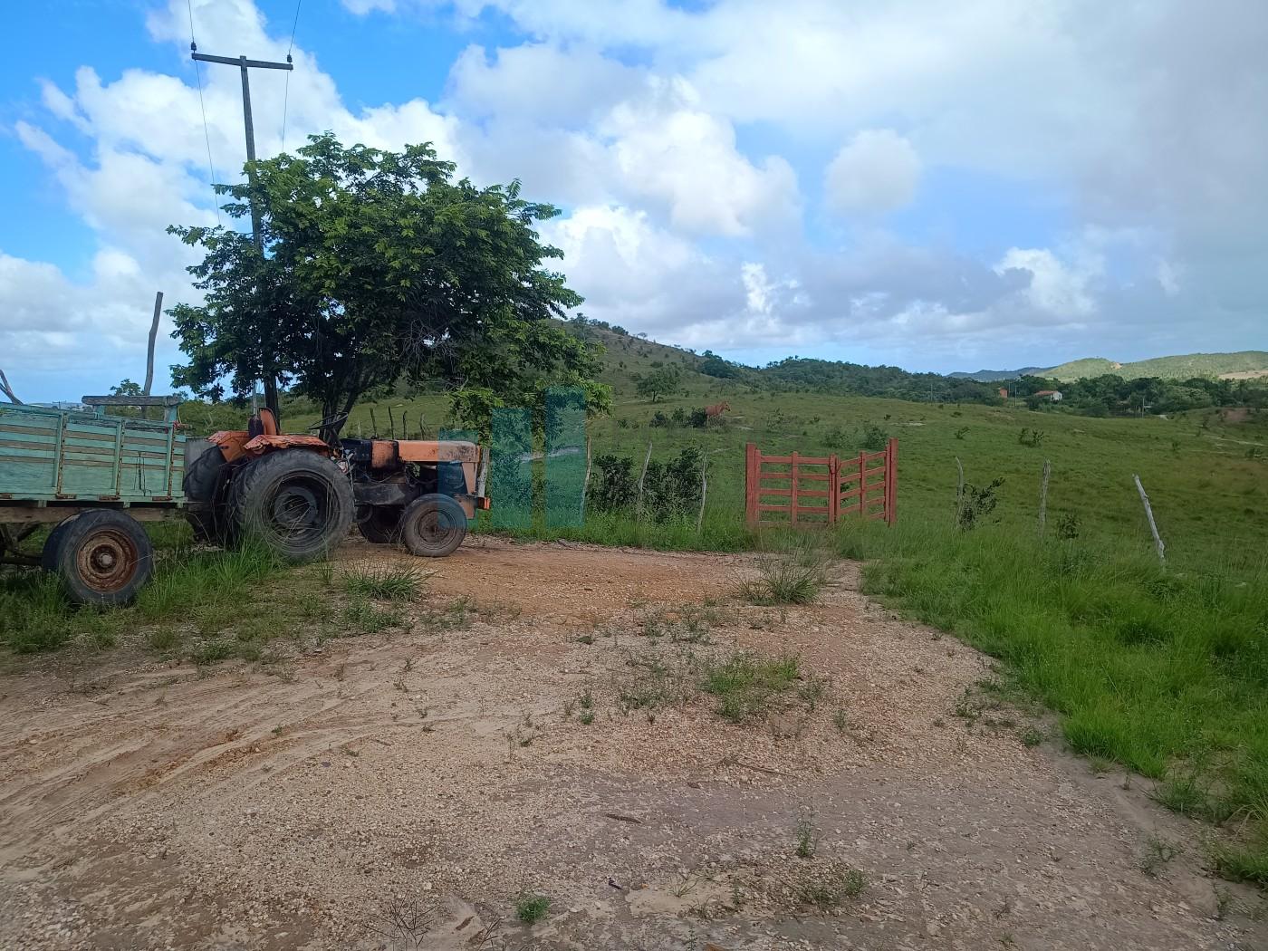 Fazenda, 101 hectares - Foto 33