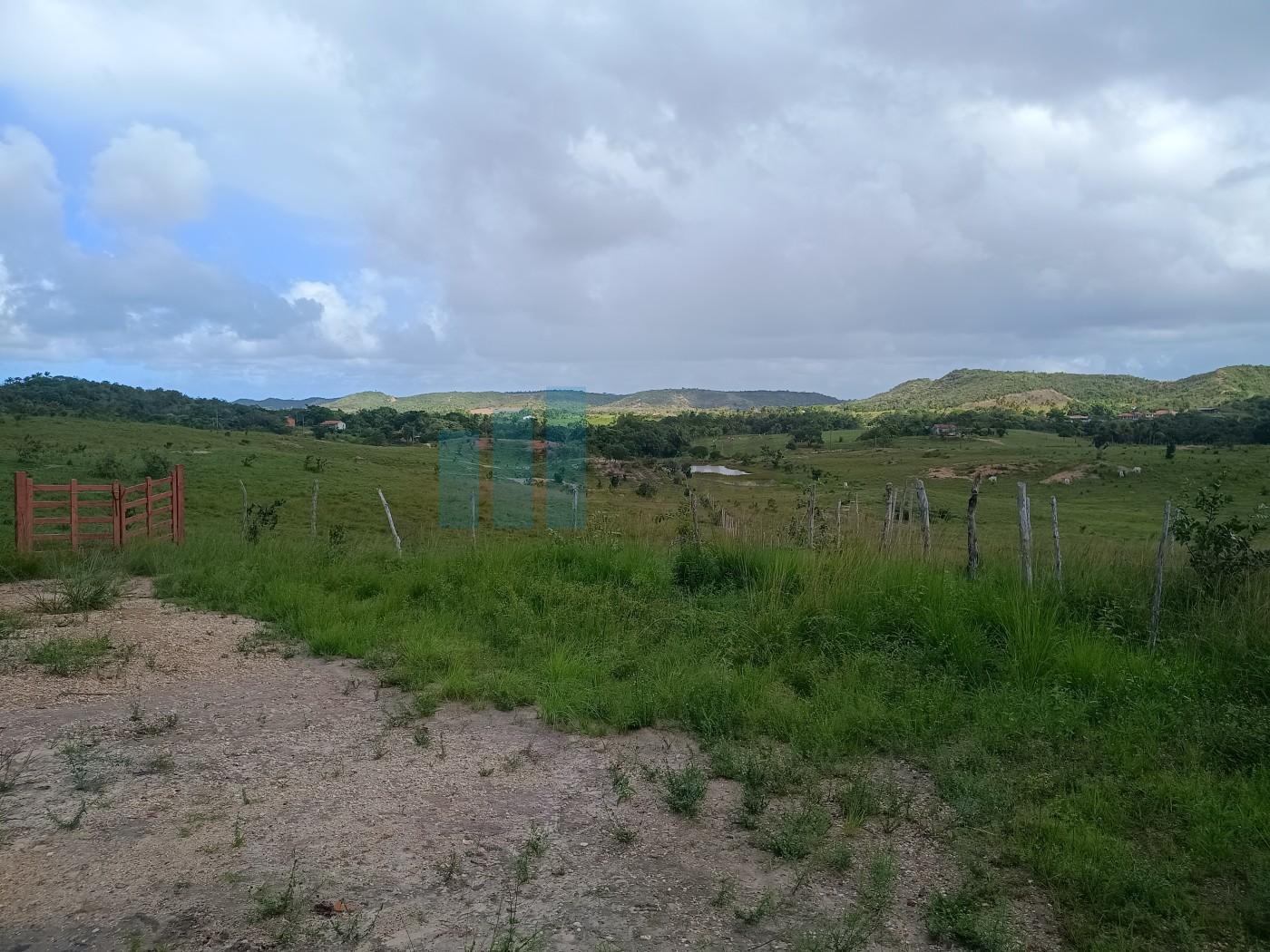 Fazenda, 101 hectares - Foto 19