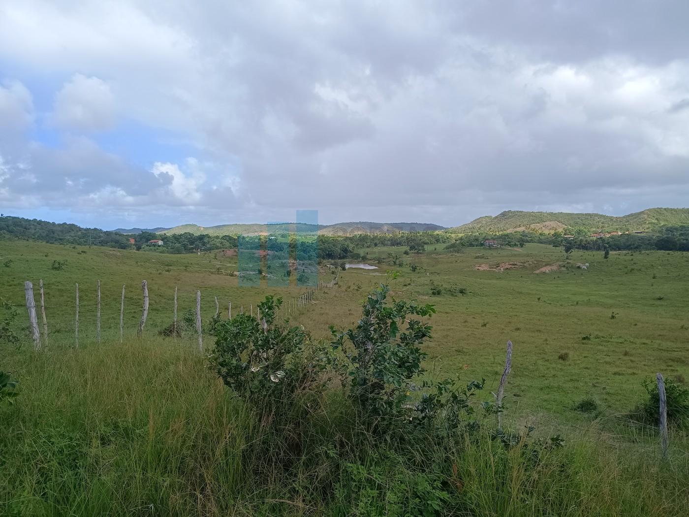 Fazenda, 101 hectares - Foto 25