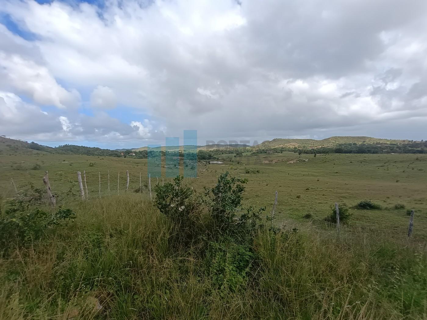 Fazenda, 101 hectares - Foto 28