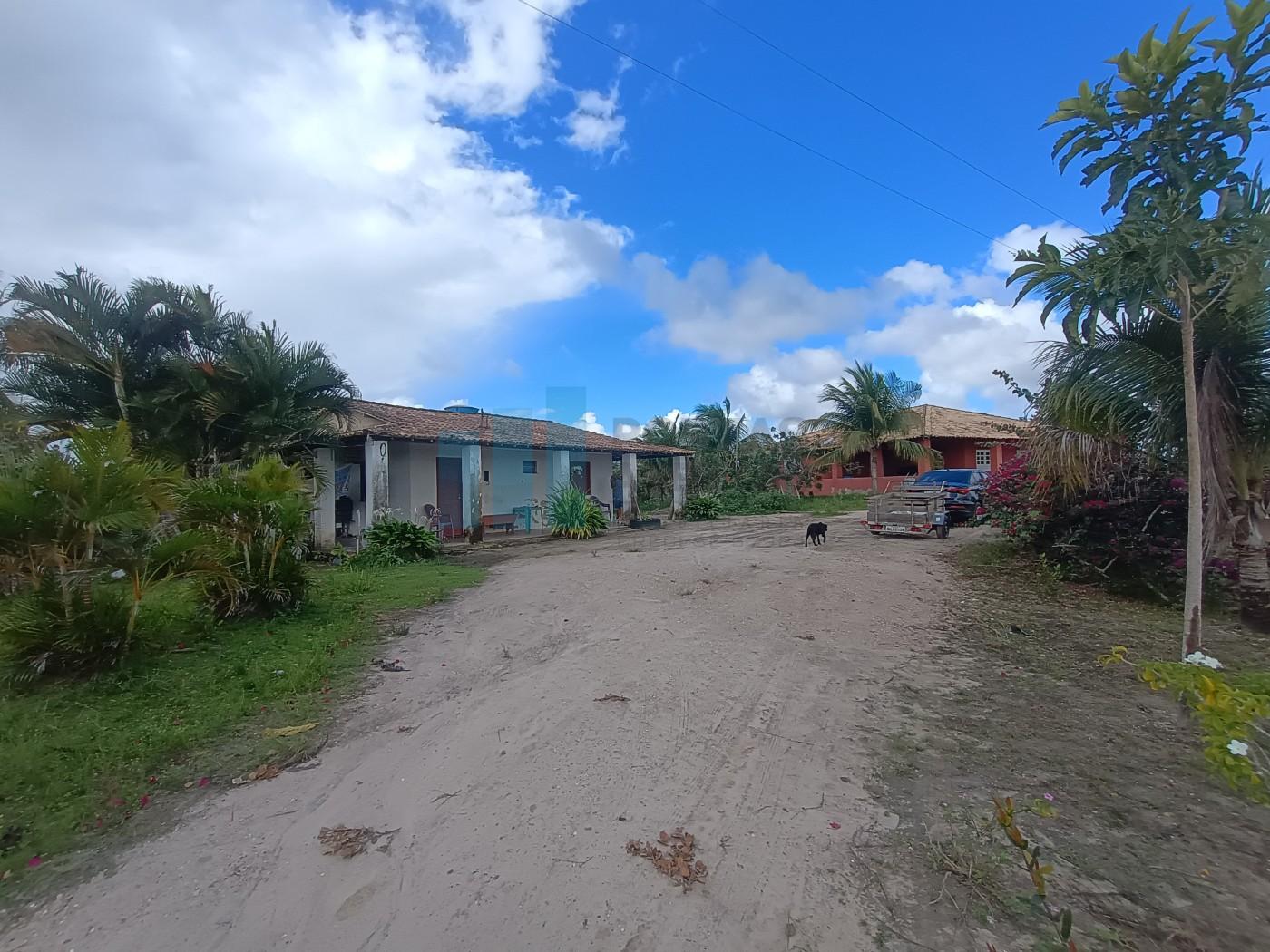 Fazenda, 101 hectares - Foto 41