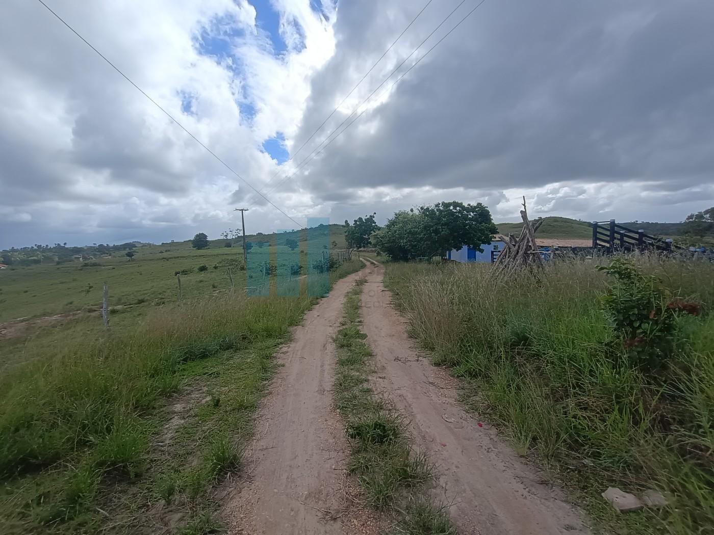 Fazenda, 101 hectares - Foto 17