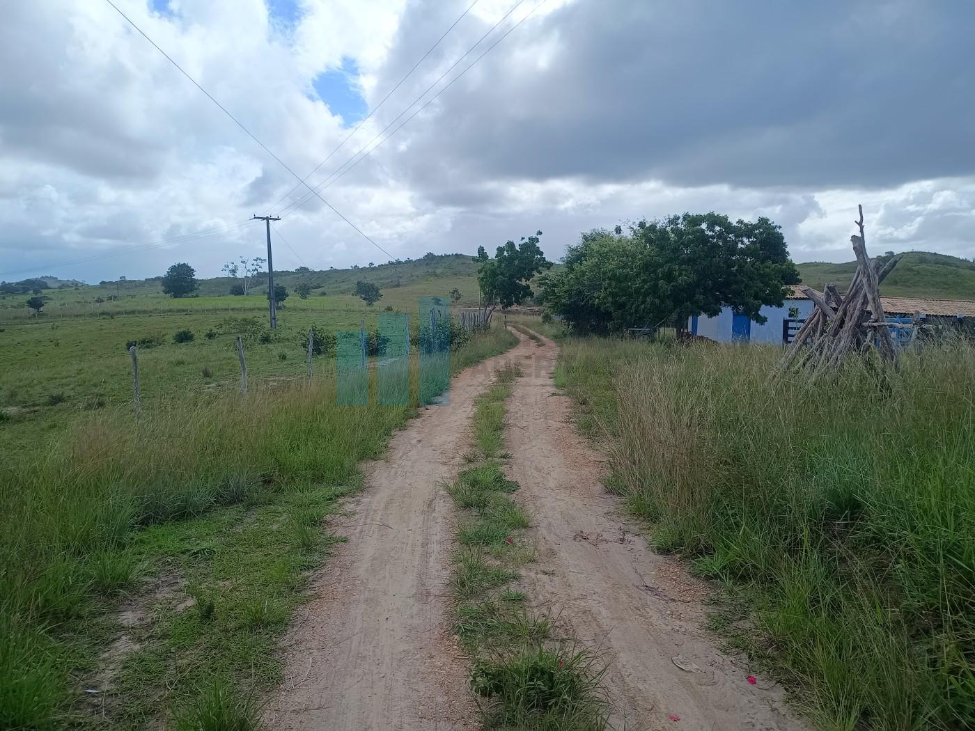 Fazenda, 101 hectares - Foto 16