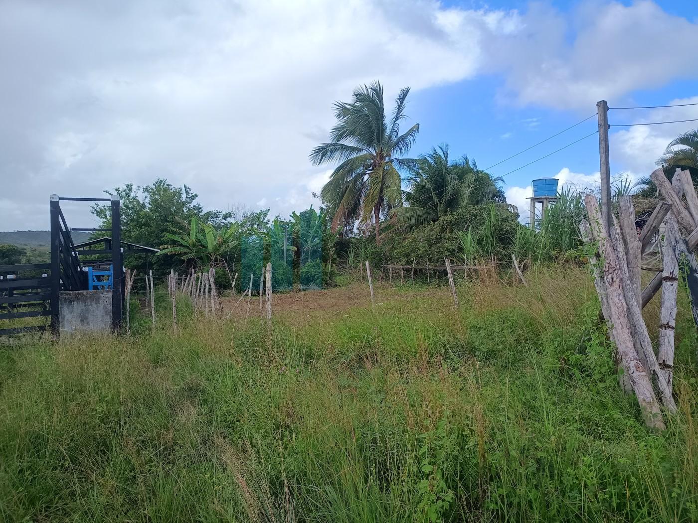 Fazenda, 101 hectares - Foto 35