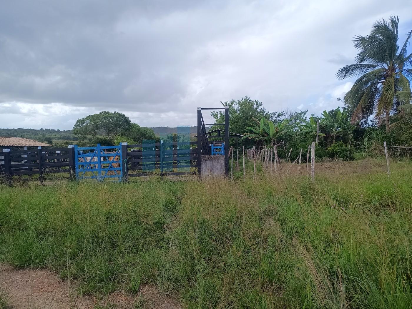 Fazenda, 101 hectares - Foto 34