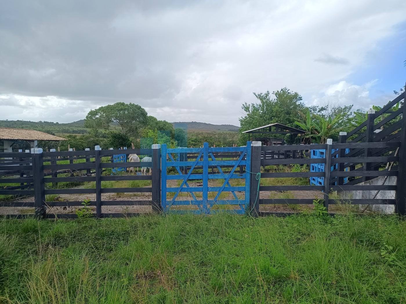 Fazenda, 101 hectares - Foto 36