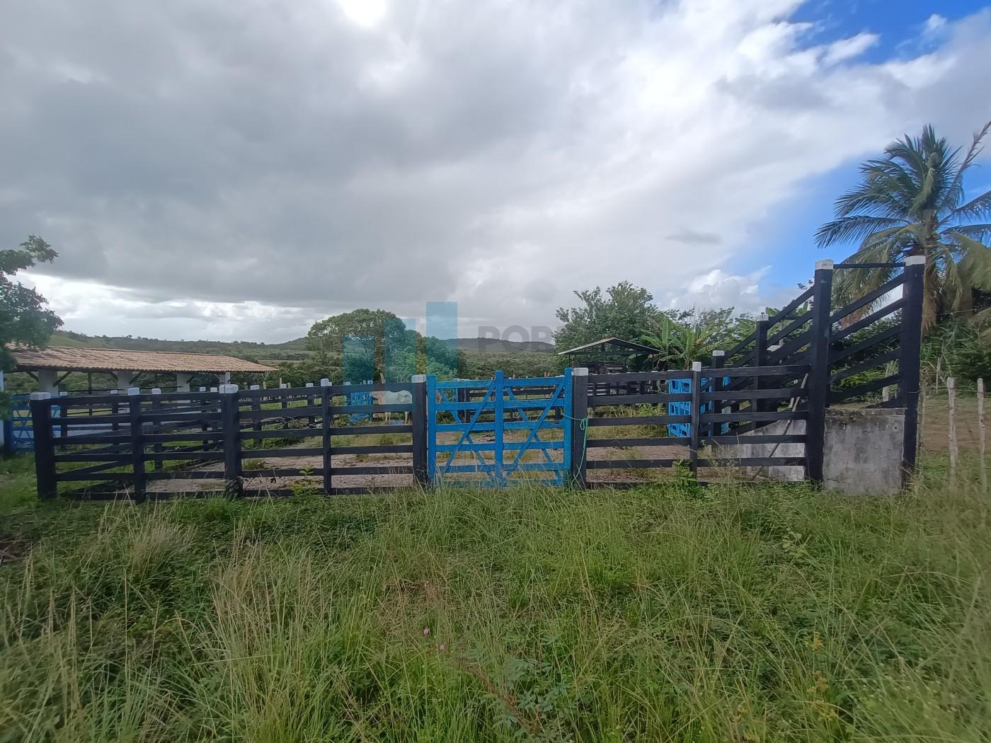 Fazenda, 101 hectares - Foto 37