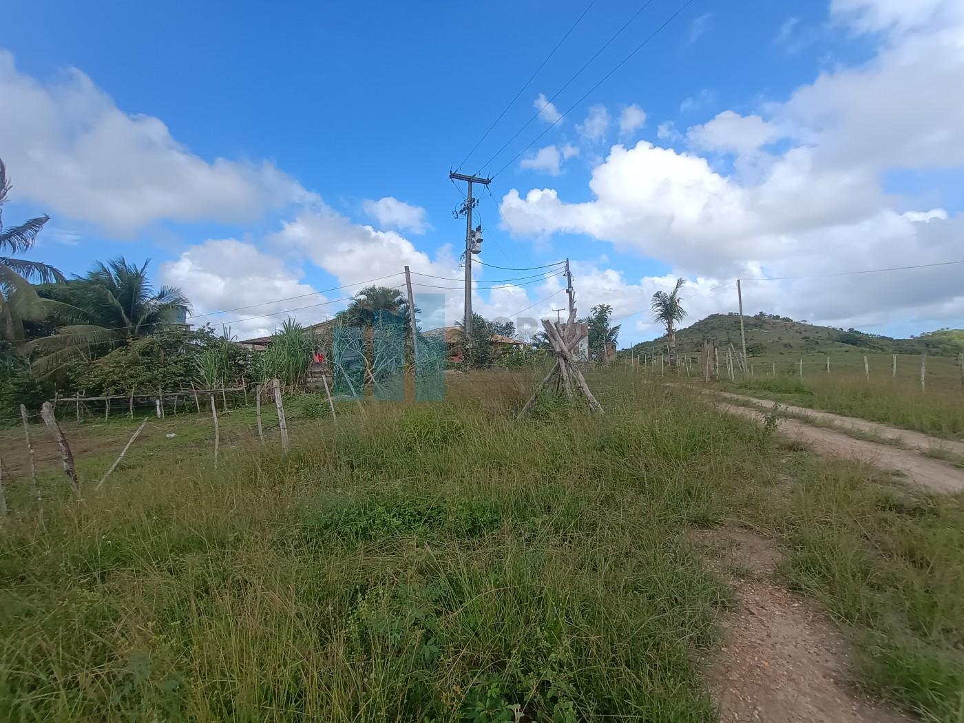 Fazenda, 101 hectares - Foto 45