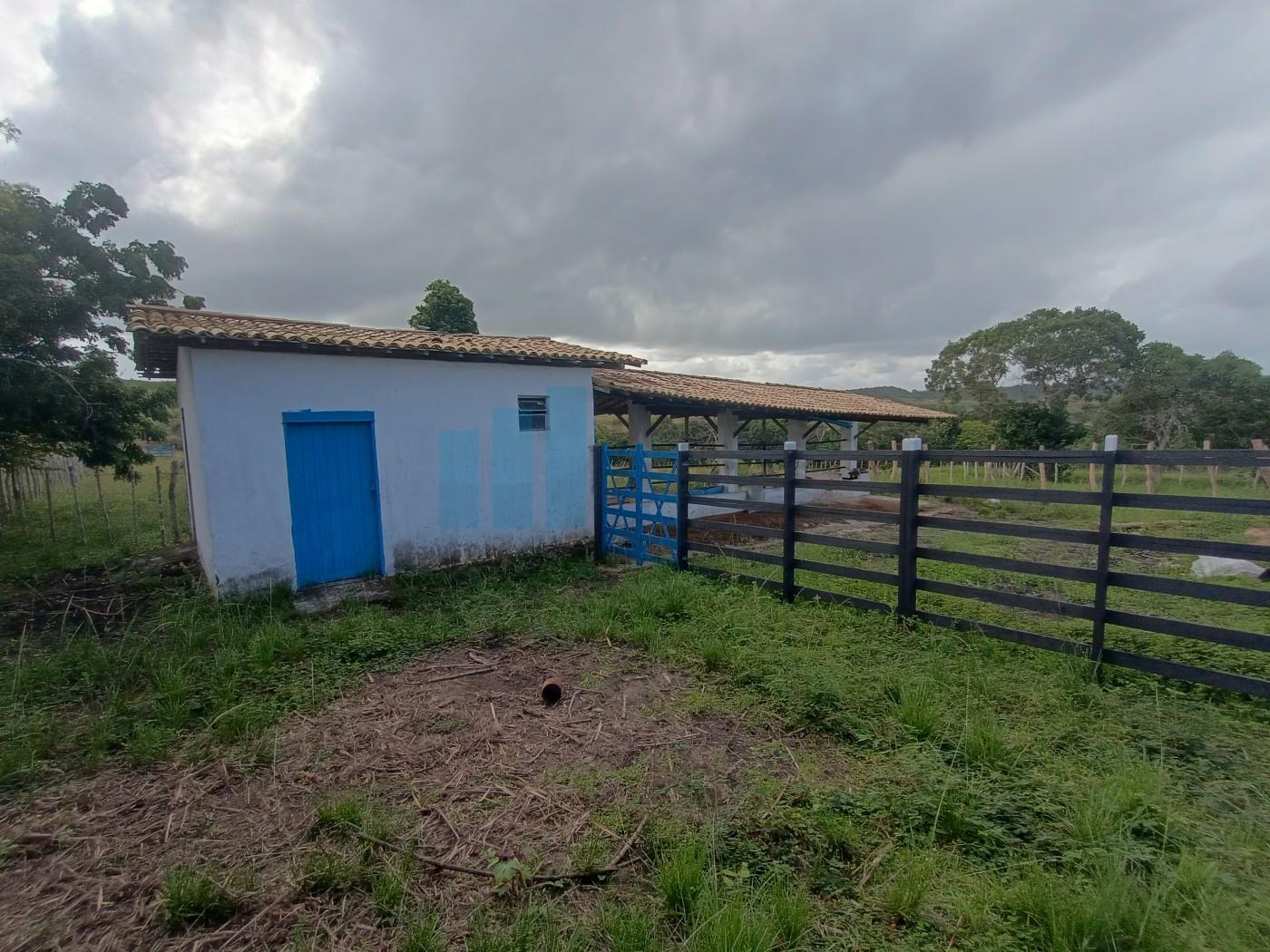 Fazenda, 101 hectares - Foto 38