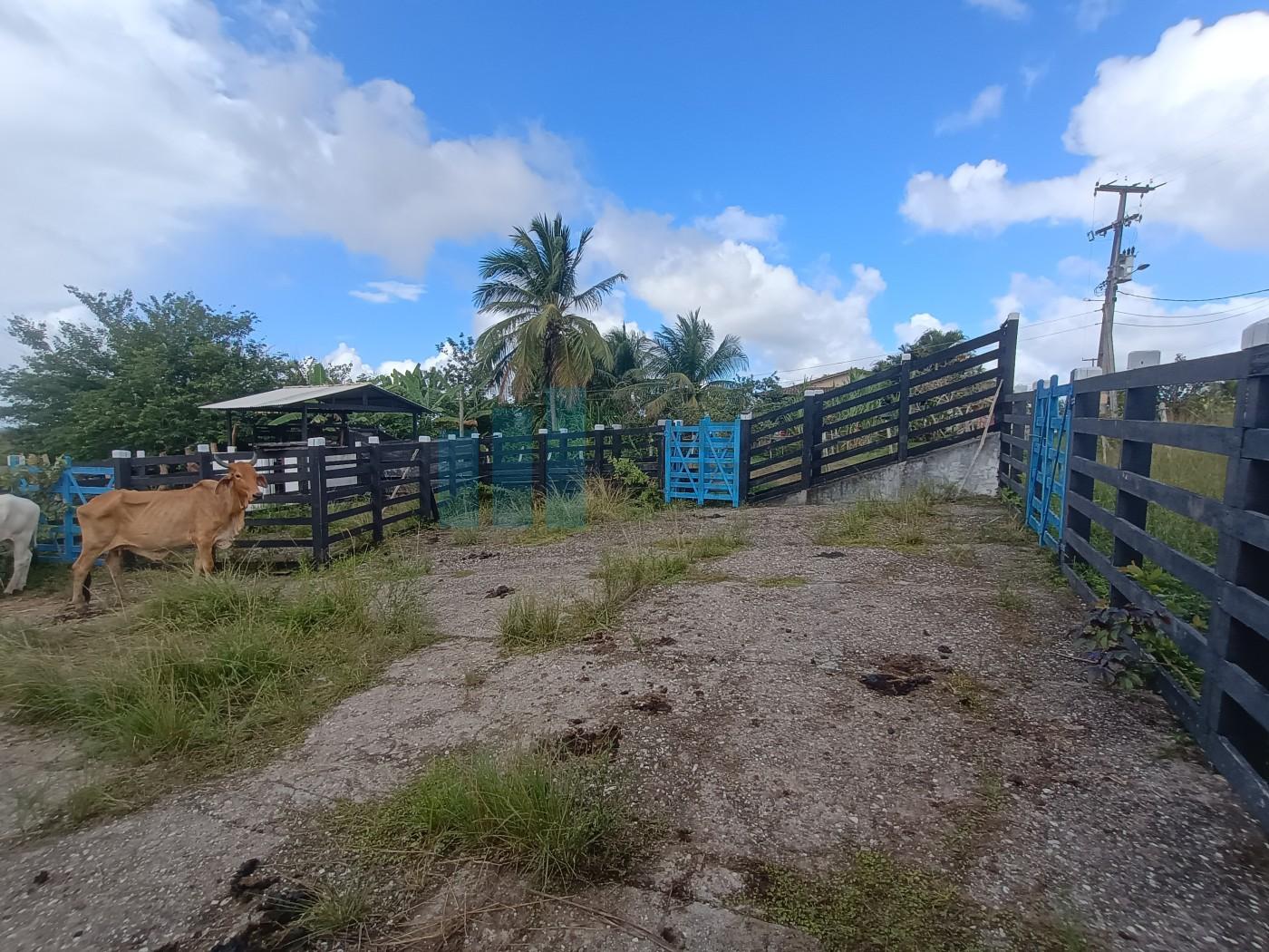 Fazenda, 101 hectares - Foto 40