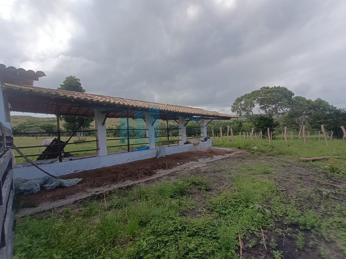 Fazenda, 101 hectares - Foto 44