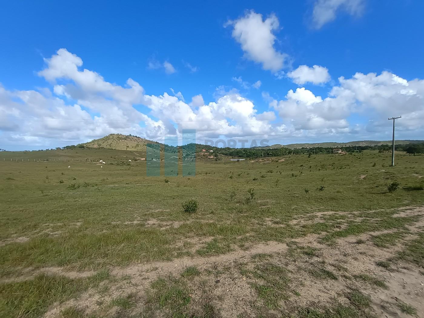 Fazenda, 101 hectares - Foto 46