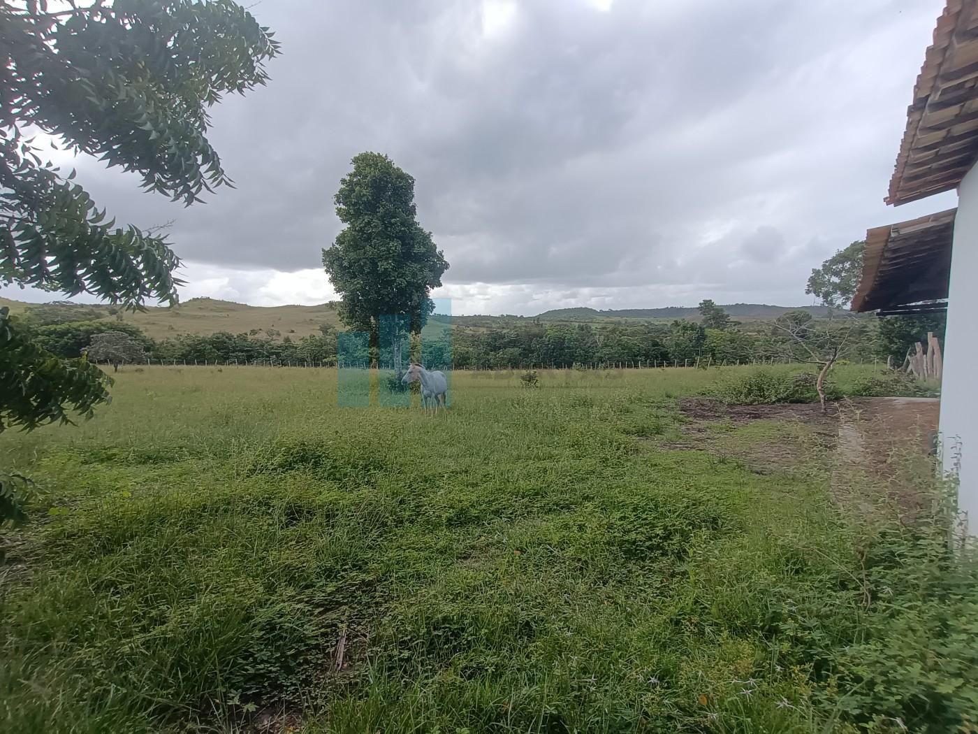 Fazenda, 101 hectares - Foto 48