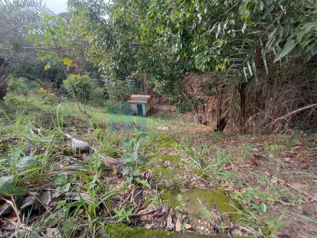 Fazenda, 101 hectares - Foto 49