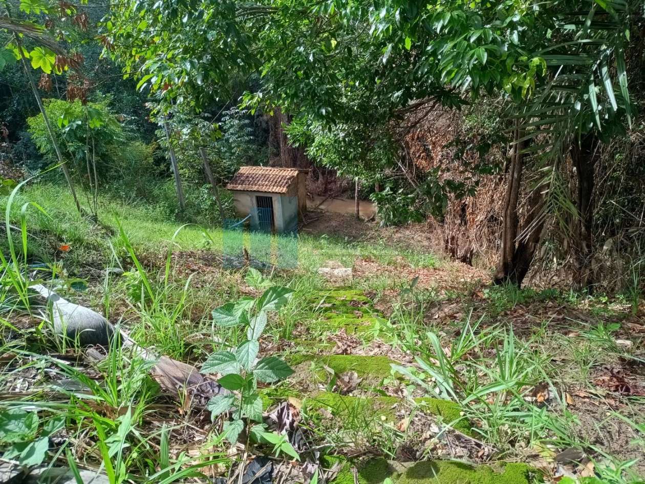 Fazenda, 101 hectares - Foto 50