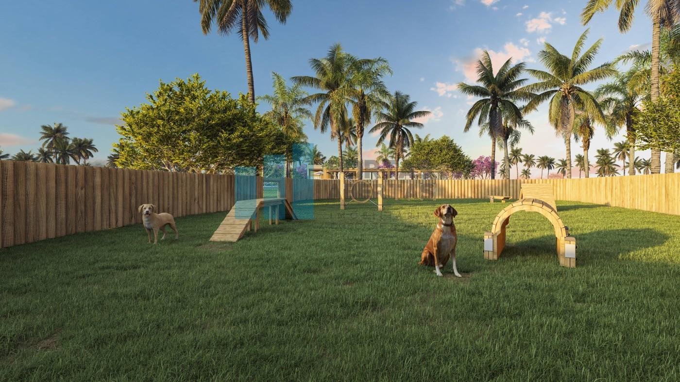 Terreno, 240 m² - Foto 17